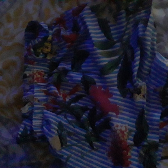 Shorts. - Picture 2 of 3